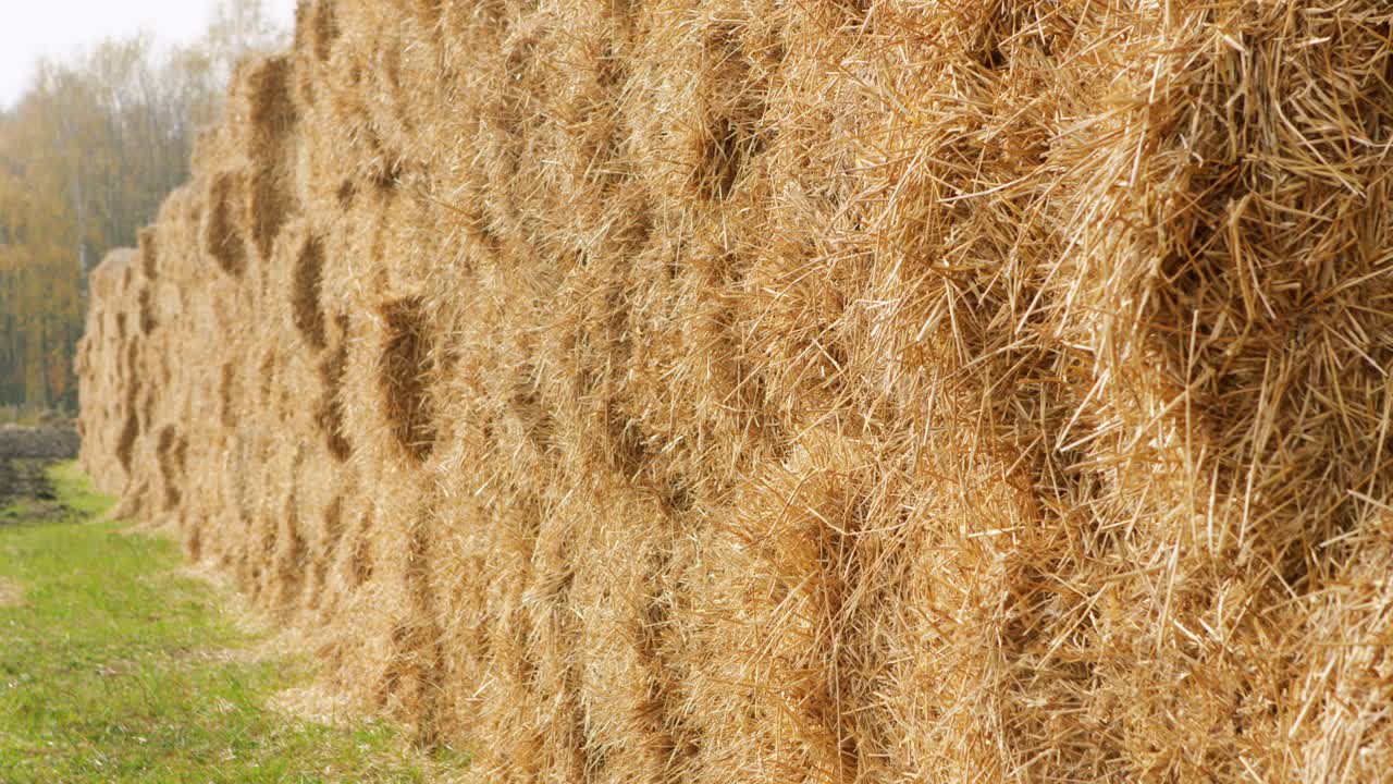 paralelepípedos de heno bien apilados el uno sobre el otro.