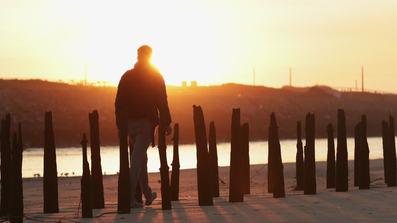 un hombre que pasa por el bosque en la costa de la playa de vieira en portugal durante la puesta de sol con gaviotas bebé en el fondo - plano medio
