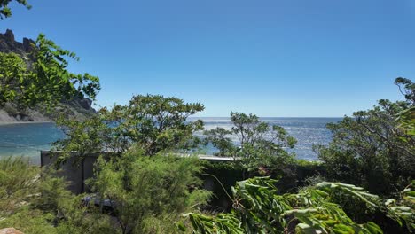 scenic view of a coastal landscape with sea and lush greenery