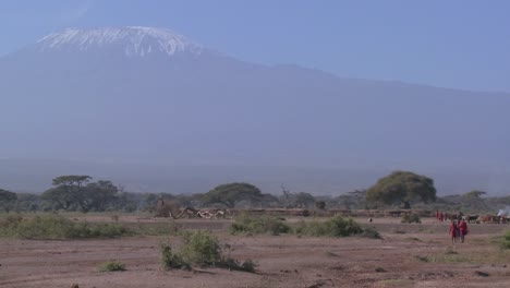 masai warriors walk in in front of mt kilimanjaro in tanzania east africa