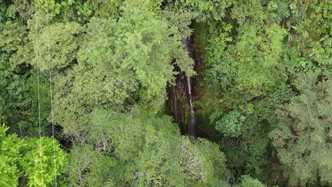 cascada en la selva