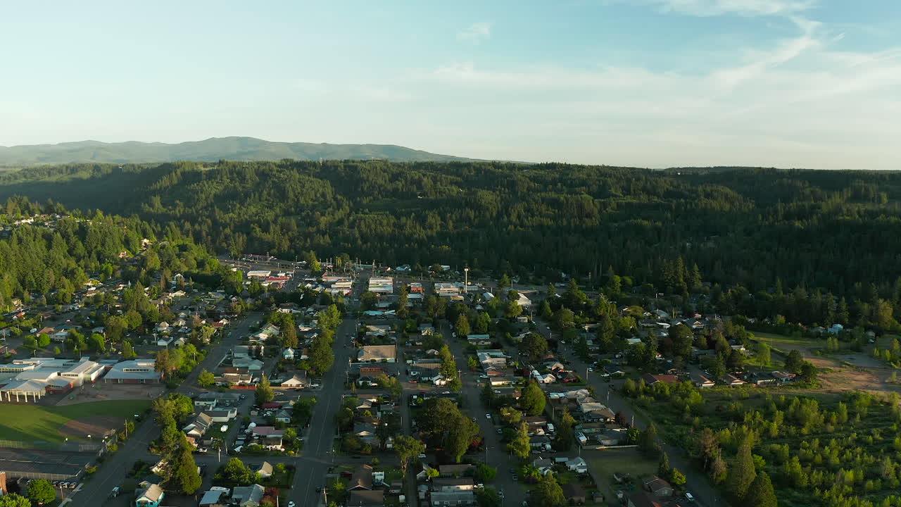 una foto de un dron de una pequeña ciudad rural verde