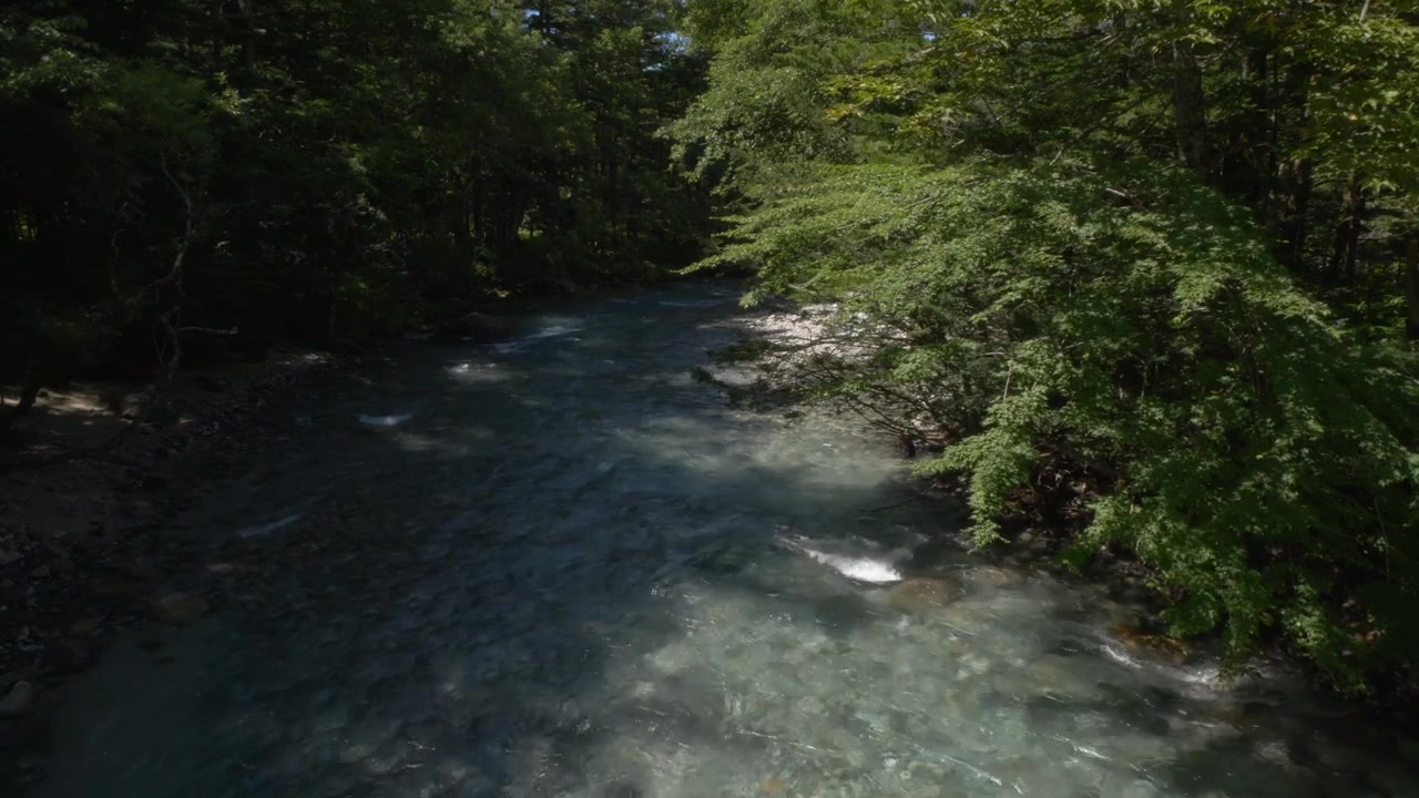 Azusa-floden, der strømmer gennem tæt skov i Kamikochi, Chubu-Sangaku Nationalpark, Nagano, Japan. Høj vinkel, statisk optagelse.