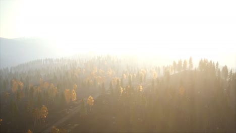 Sunlight-in-spruce-forest-in-the-fog-on-the-background-of-mountains-at-sunset