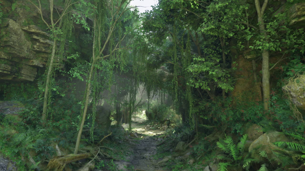 Lush green forest landscape in a serene natural setting during daylight