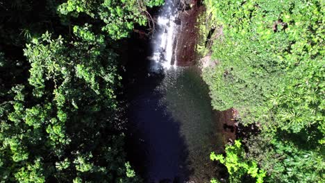 cascada en medio de la selva tropical sin gente y un pequeño lago, relajante