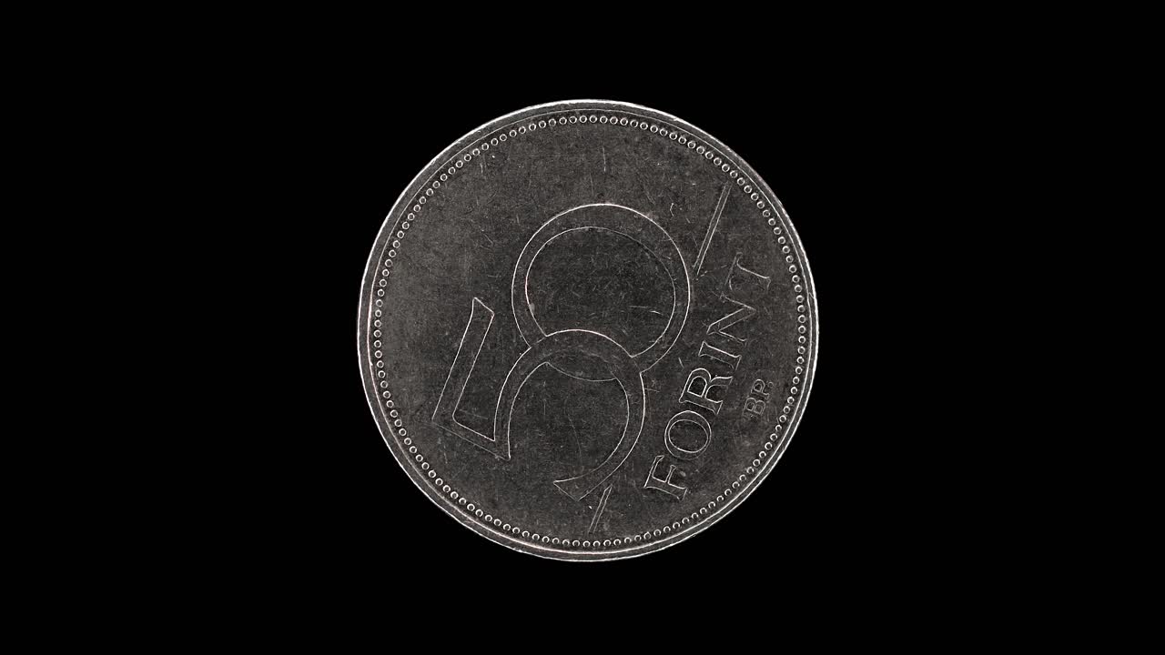 Hungary 50 forint 2003 reverse with denomination, macro loop on black background