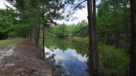 slow push in on pond with trees on a tract of land