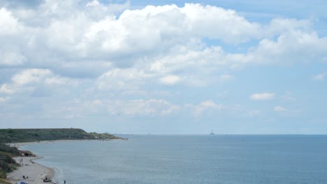 aerial view on lonely seagull flying over coastline on sunny day, tuzla, romania