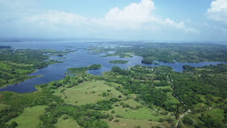 Vista-Aérea-De-Campos-Verdes,-árboles,-Lago-Gatún-En-El-Día-Soleado-2