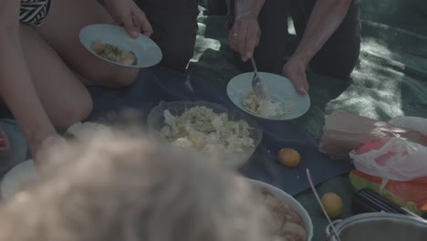 La-Gente-Disfruta-De-Un-Picnic-En-El-Prado-Bajo-El-árbol