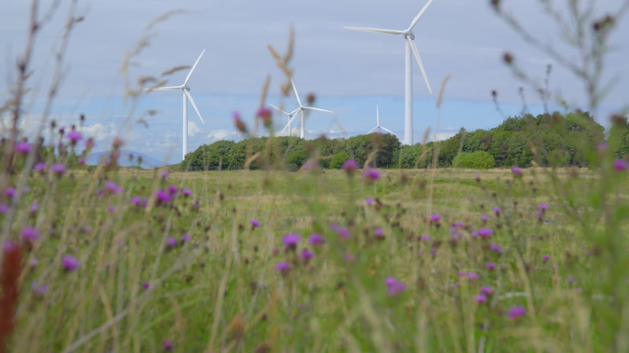 풍력 터빈은 구름이 많은 여름 날 꽃이 피는 잡초를 통해 드러납니다.