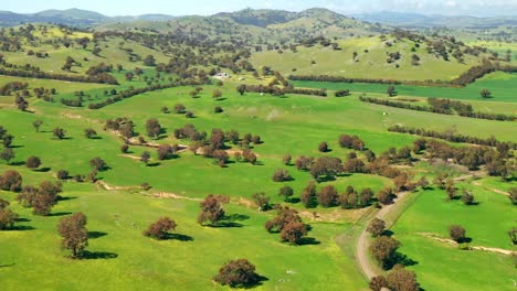 hermoso paisaje del paisaje rural en el campo de australia