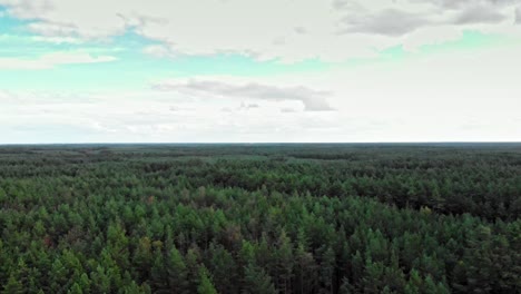 Toma-Aérea-Del-Interminable-Bosque-Boreal-En-Wdzydze-Kiszewskie,-Polonia