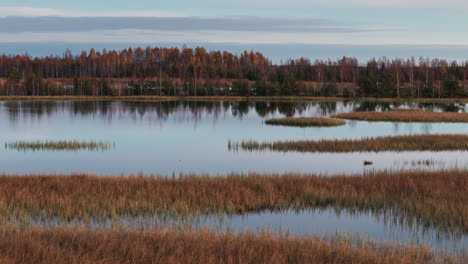 Die-Seitwärts-Gerichtete-Drohnenaufnahme-Fängt-Den-See-Während-Der-Farbenfrohen-Goldenen-Stunde-Des-Herbstes-Ein