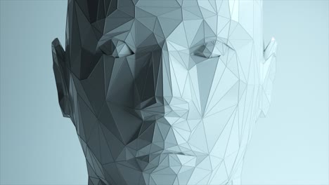 abstract 3d polygonal face