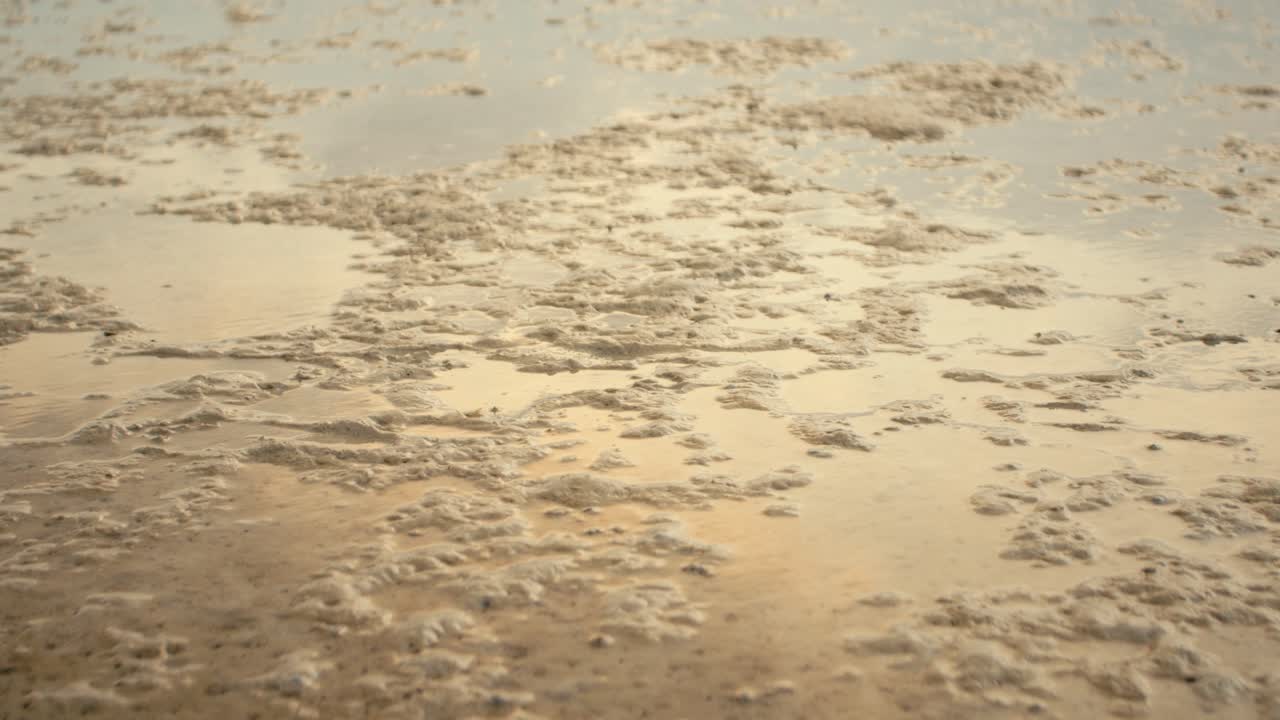 Woman walking barefoot through shallow water on a beach at sunset
