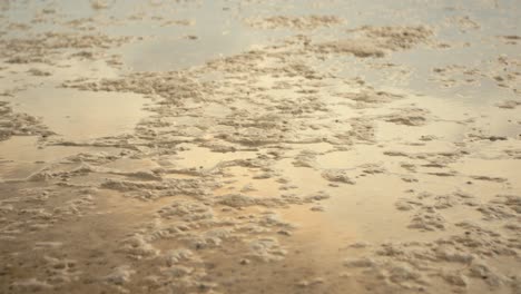 woman walking barefoot through shallow water on a beach at sunset