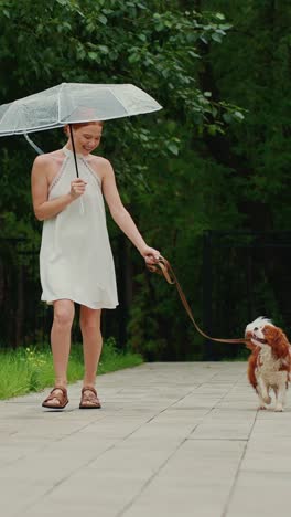 woman and dog walking in the rain