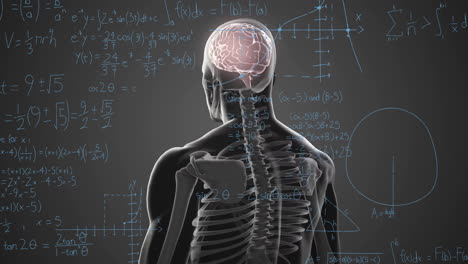 animation of human skeleton with brain and math equations in school setting