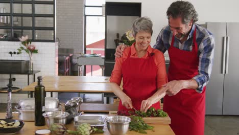 Chefs-enjoying-cooking-together