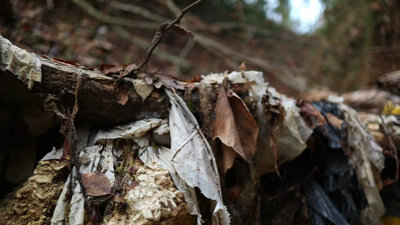 오래된 쓰레기와 플라스틱은 환경을 오염시키고, 클로즈업 샷