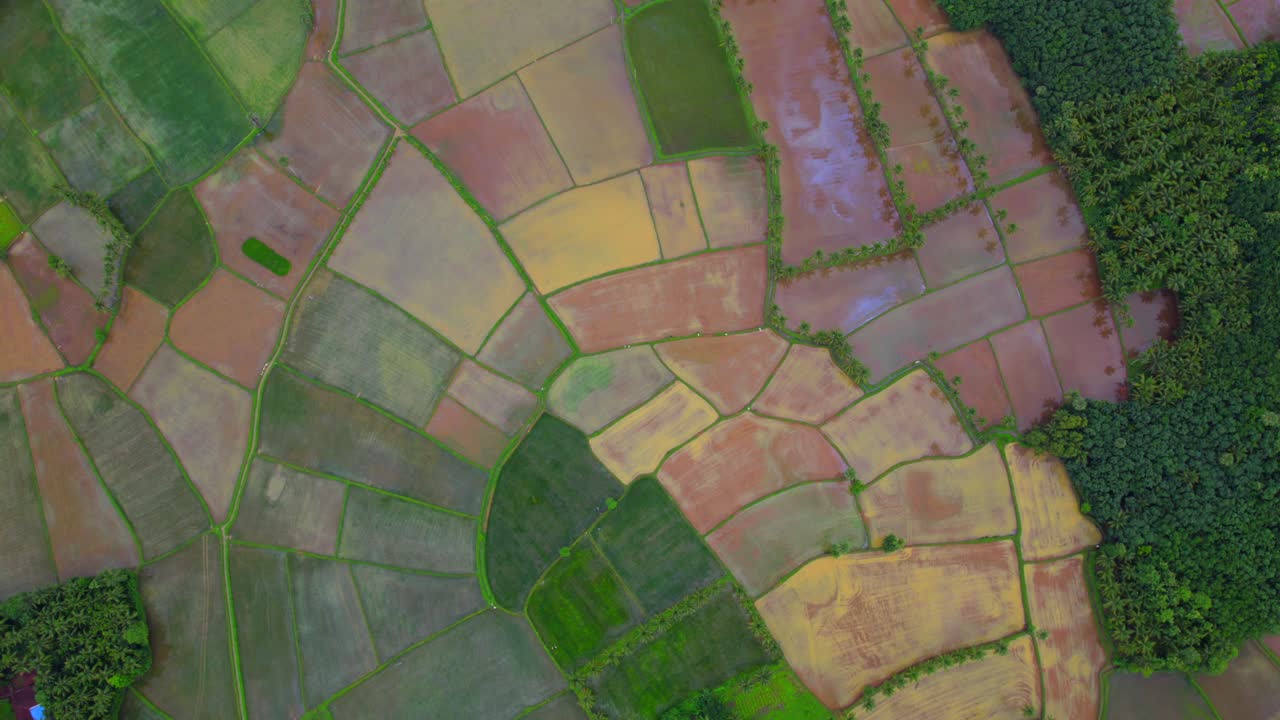 hermoso paisaje de arroz, campos de arroz verdes en terrazas en la montaña en vang vieng laos