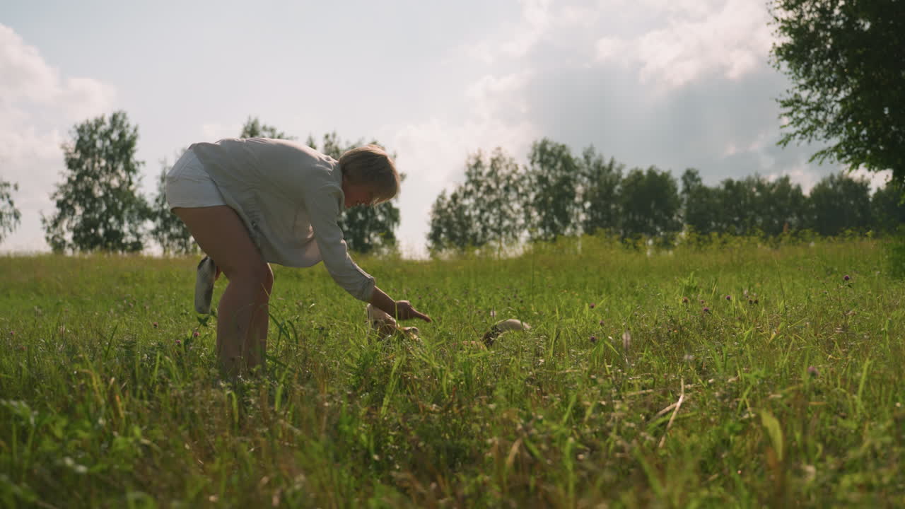 애완동물 애호가 은 잔디에서 개와 놀면서 왼손에 무언가를 들고, 빛이 나무를 통해 빛나고, 개는 푸른 잔디와 열린 에 둘러싸여 행복하게 앉아 있습니다.