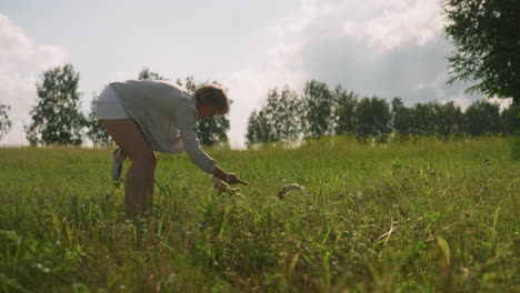 pet lover holding something in left hand while playing with dog in grassy field, with sunlight shining through trees, dog sits happily, surrounded by green grass and open field