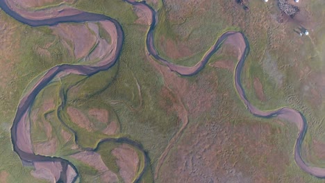 aerial drone shot of river lines in mongolian steppes. tilt on yurts