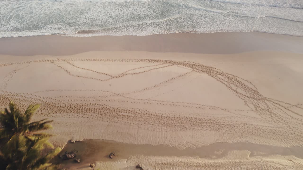 jungla palmera tropical y arena solitaria playa del océano imágenes aéreas en sumba este de nusa tenggara indonesia