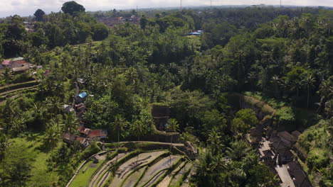 forwarding drone cinematic footage of gunung kawi temple at bali, indonesia top view