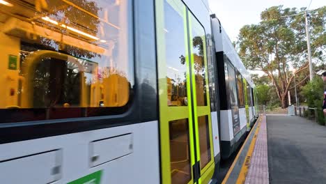 tram approaches and stops at melbourne zoo station