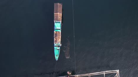 Volando-Sobre-Una-Increíble-Criatura-Tiburón-Ballena-En-Teluk-Saleh-West,-Nusa-Tenggara-Indonesia