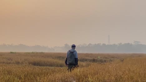 single photographer wondering on dry field holding camera, rear view, pan