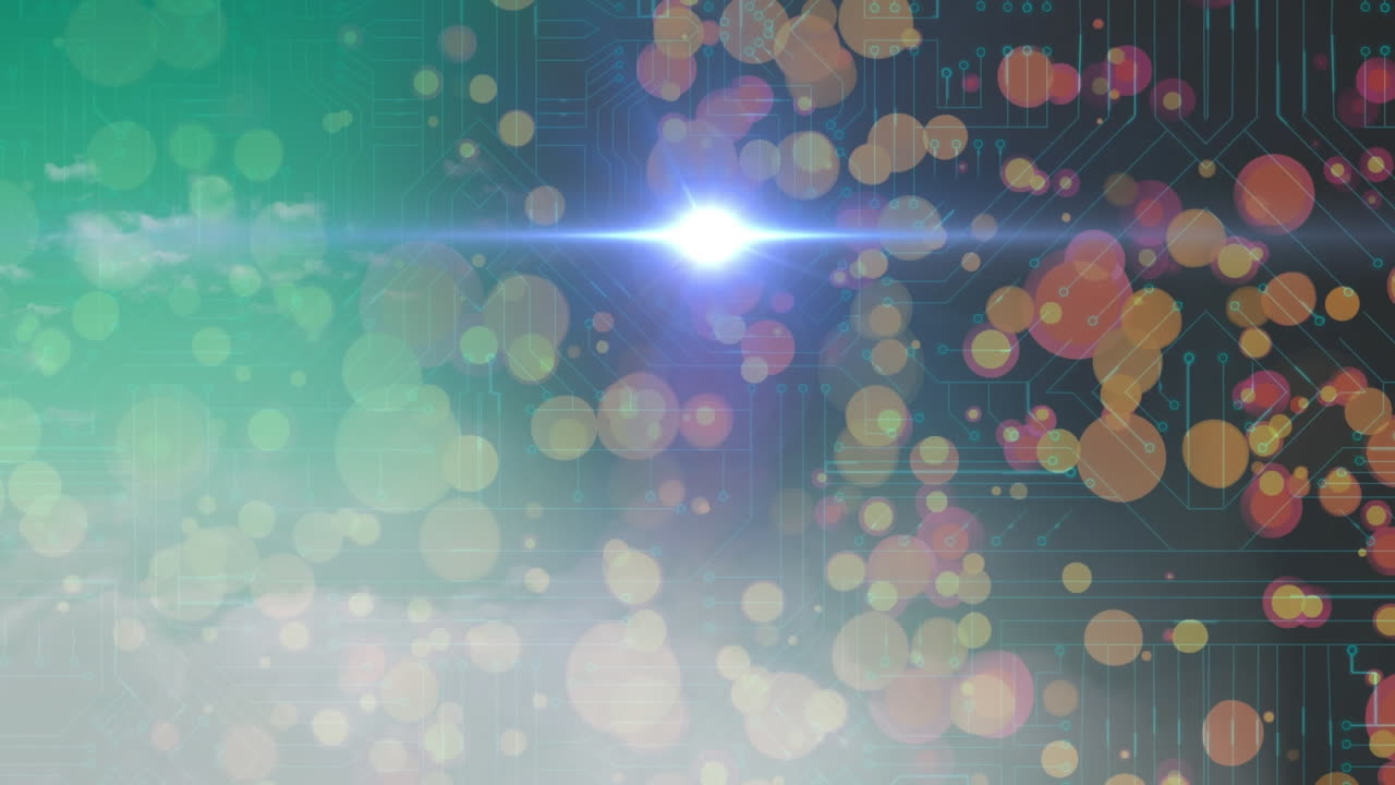 스 ⁇ 을 통한 연결 네트워크의 애니메이션