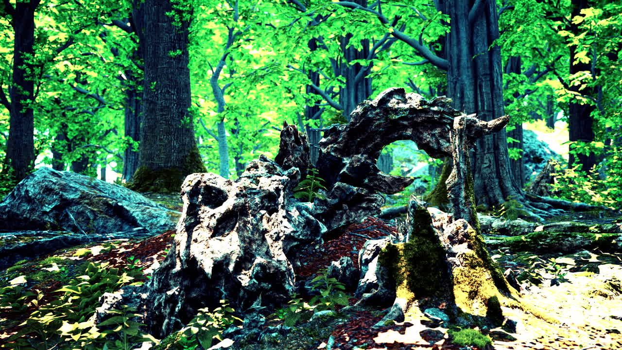 un hermoso musgo verde brillante creció cubriendo las piedras ásperas