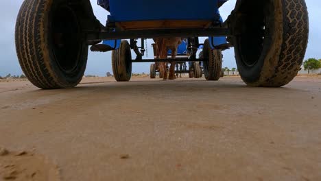 Low-angle-ground-surface-view-of-horse-pulling-blue-carriage-on-Tunisia-unpaved-desert-road