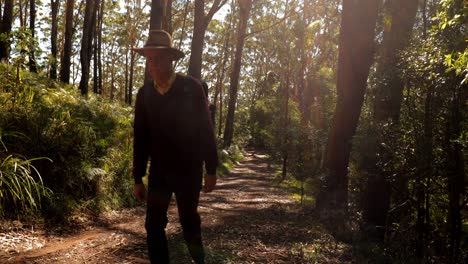 older man in brimmed hat walking up track in sun filled forest