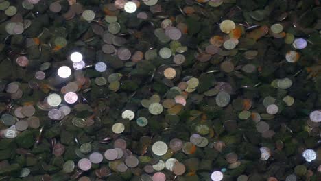 coins in the pond bottom.