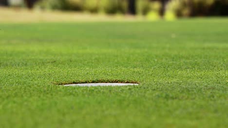 golfista jugando al golf