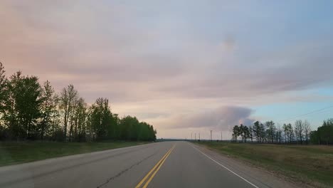 forest fire smoke from vehicle perspective