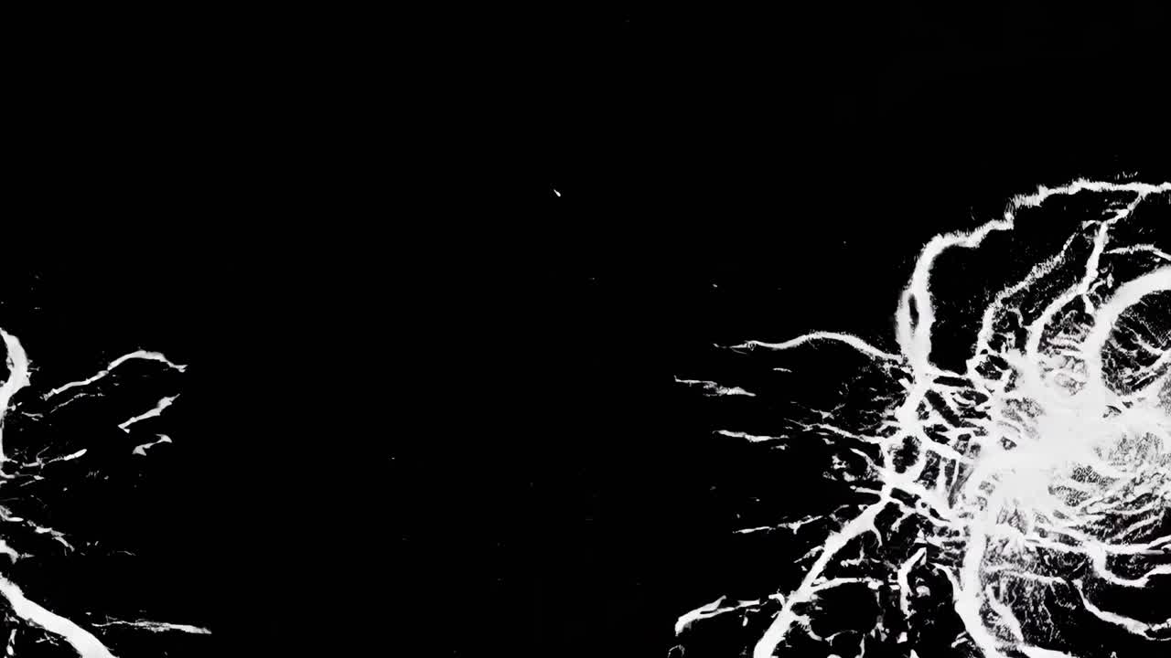 Abstract black and white video art with a symmetrical design