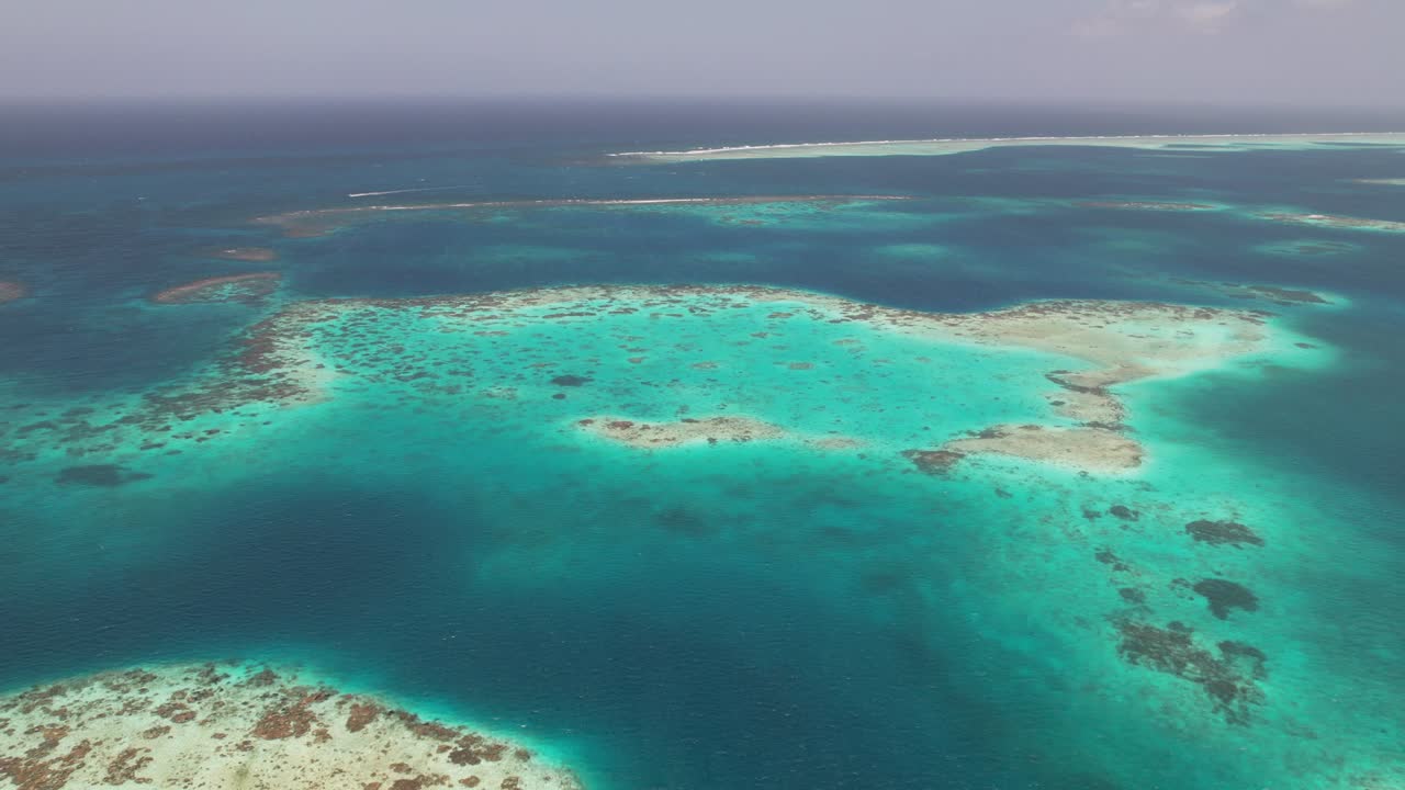 조류의 눈으로 보는