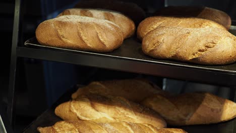 assortment of freshly baked bread