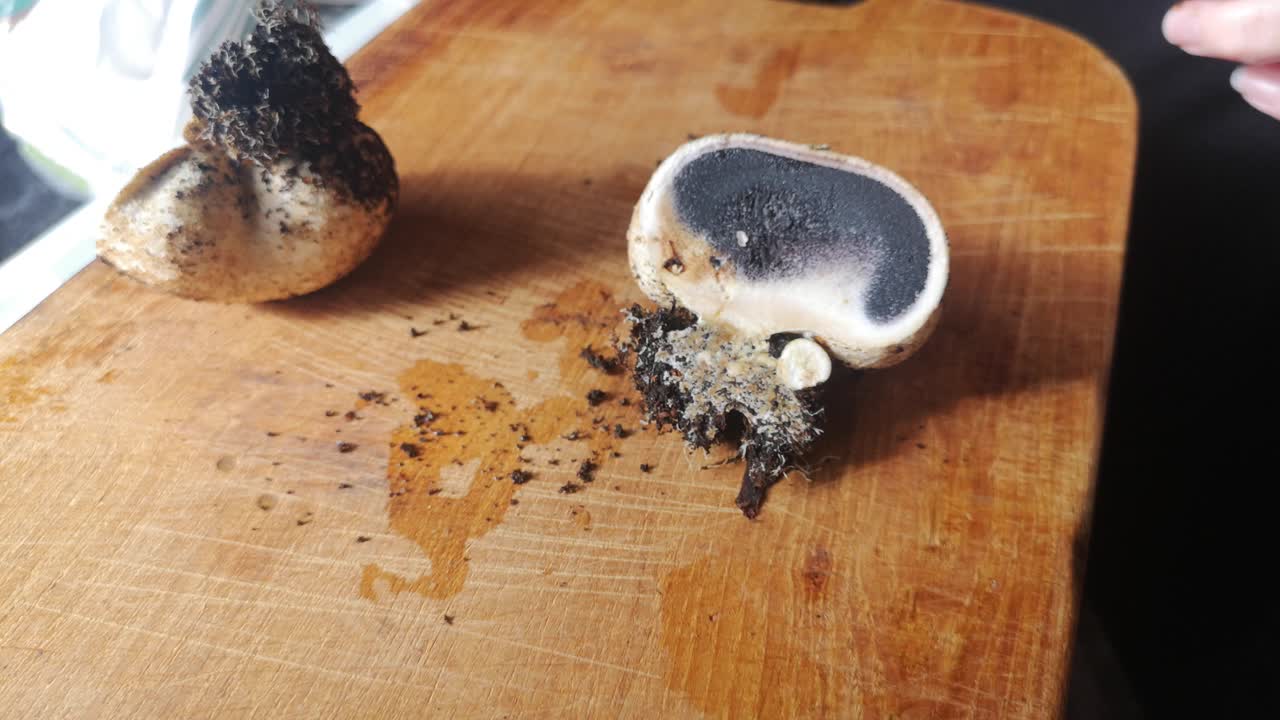 Female hands with knife slicing half poisonous mushroom on wooden cutting board in kitchen
