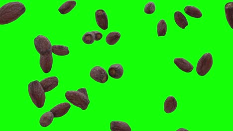 date fruits food falling on green screen with alpha matte