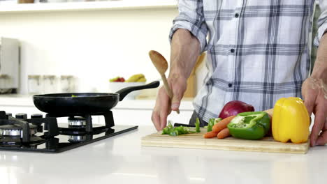 close up on a man cooking vegetables