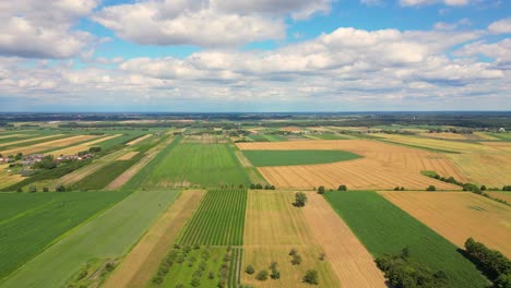 Luftaufnahme-Mit-Der-Landschaftsgeometriestruktur-Vieler-Landwirtschaftlicher-Felder-Mit-Verschiedenen-Pflanzen-Wie-Raps-In-Der-Blütezeit-Und-Grünem-Weizen