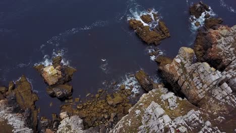 flying above the rocky cliffside towards the sea